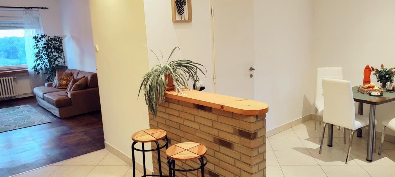 Danube Riverside Apartment With Quite Workplace Bratislava Eksteriør bilde