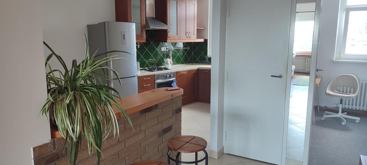 Danube Riverside Apartment With Quite Workplace Bratislava Eksteriør bilde